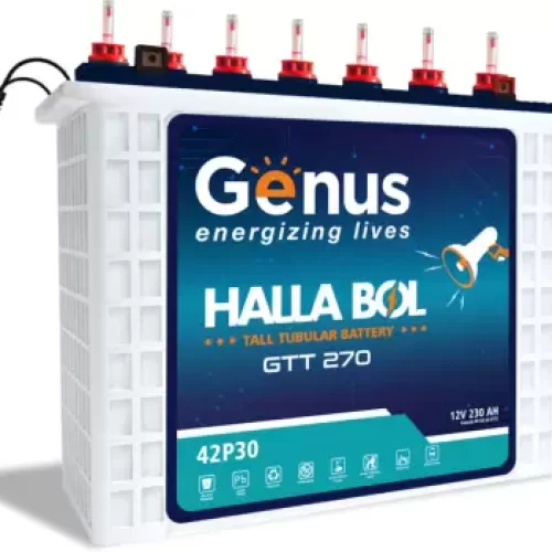 Genus GTT-270 Tubular Inverter Battery  (230 Ah)